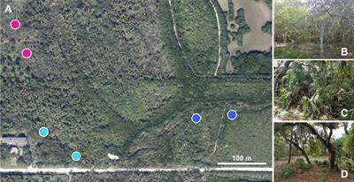 Collection Time, Location, and Mosquito Species Have Distinct Impacts on the Mosquito Microbiota